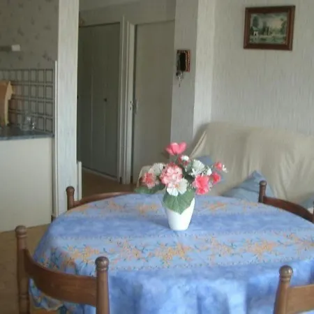 F1bis Avec Balcon Et Garage à 10min Des Thermes - Amélie-les-bains - Fr-1-703-45 Apartamento *
