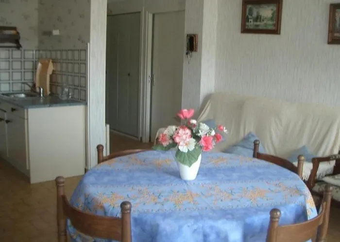 F1bis Avec Balcon Et Garage A 10min Des Thermes - Amelie-les-bains - Fr-1-703-45 公寓 *